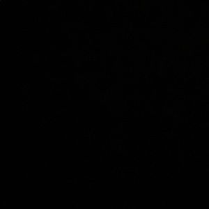 Meet your Posher, Addison